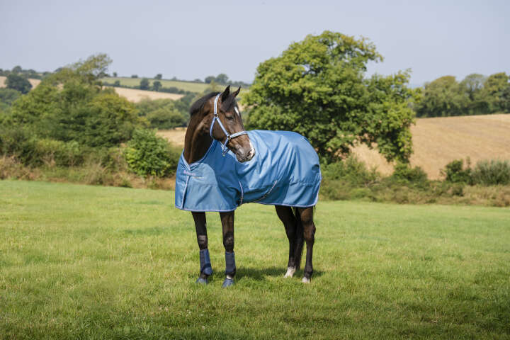 bucas Outdoordecke Freedom Turnout 50 g Blueberry